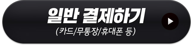 일반 결제하기