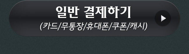 일반 결제하기