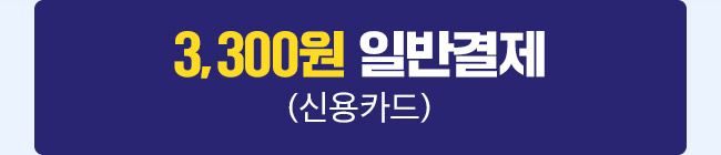 3,300원 일반결제