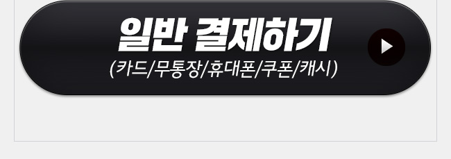 일반 결제하기