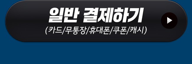 일반 결제하기