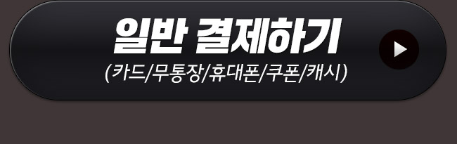 일반 결제하기