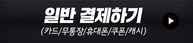 일반 결제하기