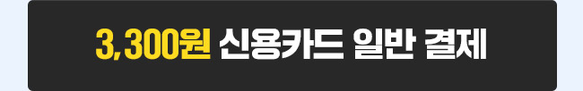 3,300원 신용카드 일반 결제하기