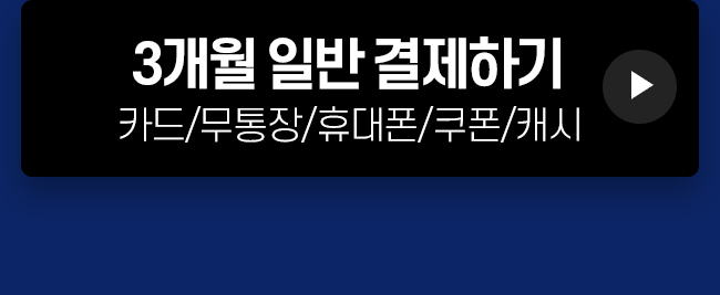 3개월 일반결제