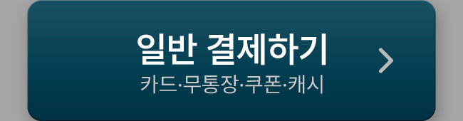일반 결제하기
