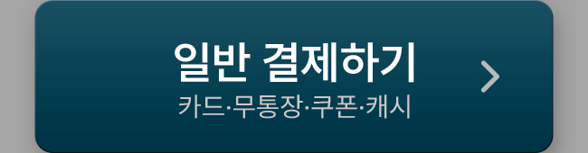 일반 결제하기