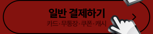 일반결제