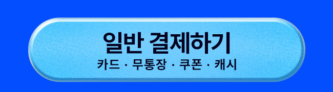 일반결제