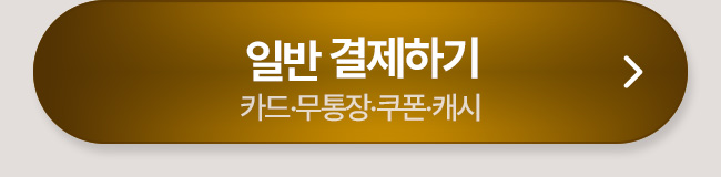 일반 결제하기