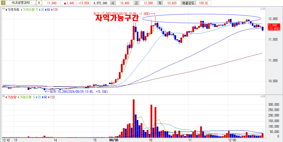 8월30일HLB생명과학차트