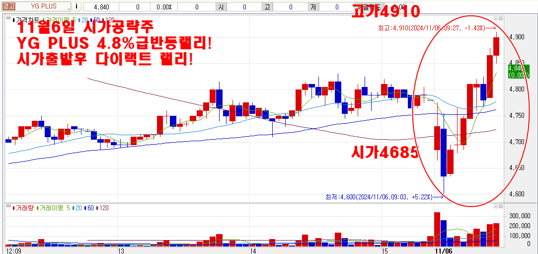 11월6일yg시가공략주차트