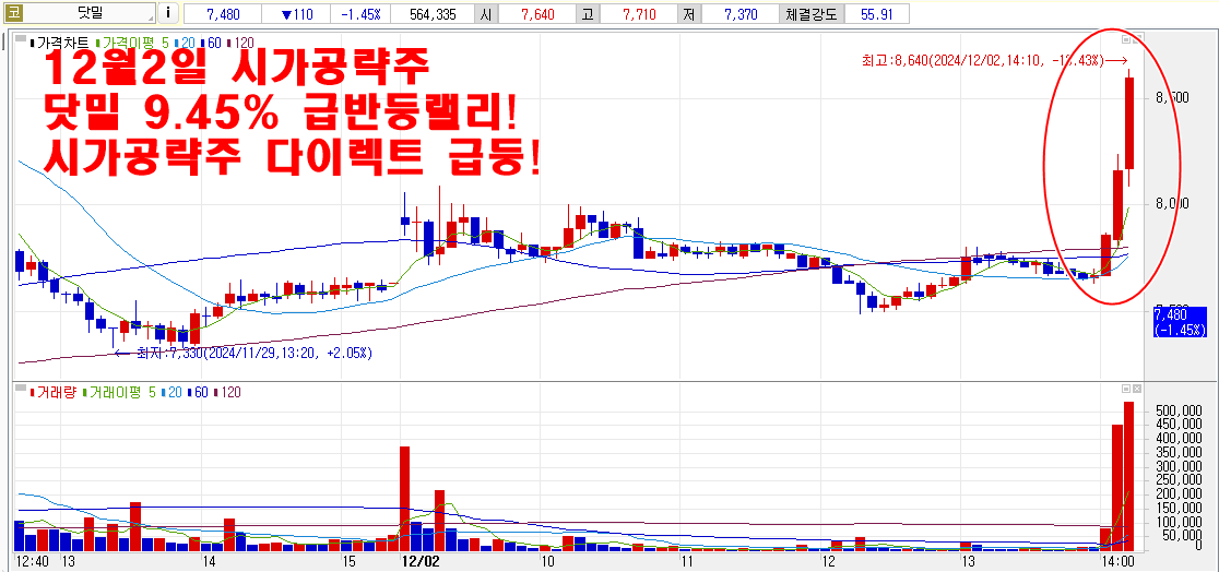 12월2일시가공략주닷밀