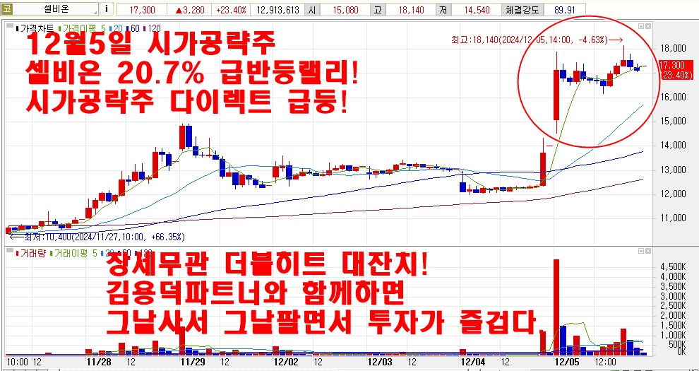 12월5일시가공략주셀비온차트