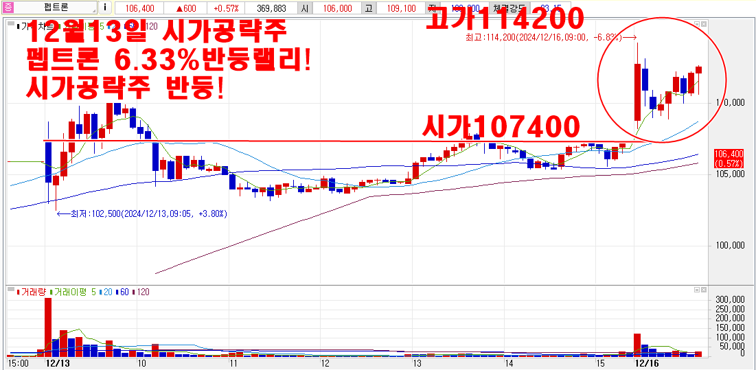 12월13일시가공략주펩트론차트